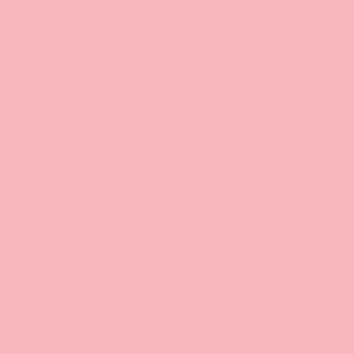 Fond Papier 2,18 x 11 m Rose - Bubblegum Pink - JB01888-BWW